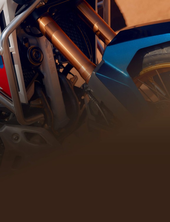 Electronic Suspension