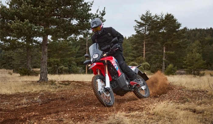 Assist/Slipper Clutch