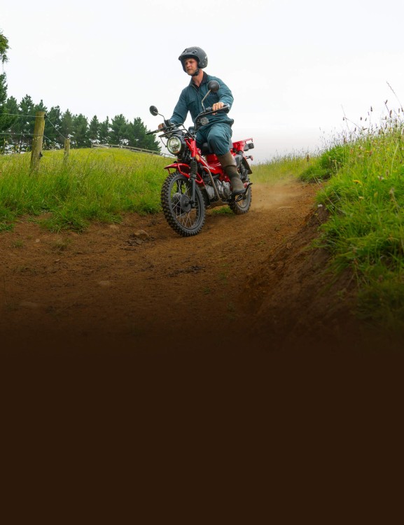 Programmed Fuel Injection (PGM-FI)