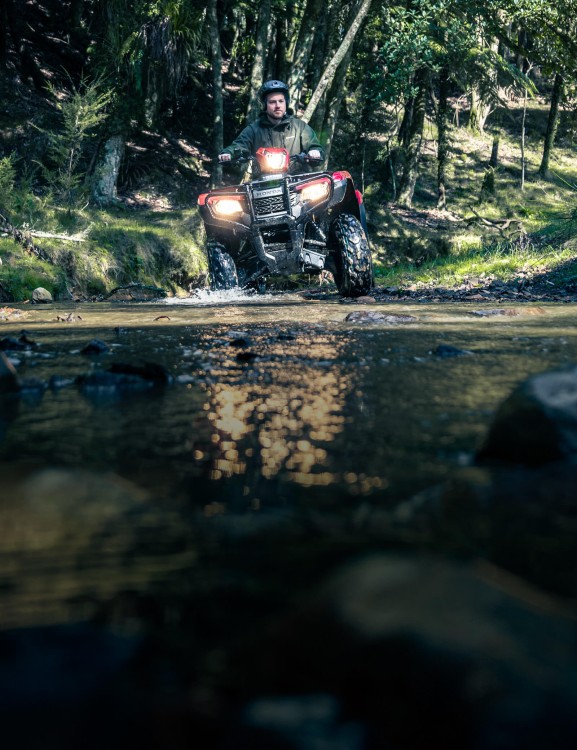 Electronic Power Steering